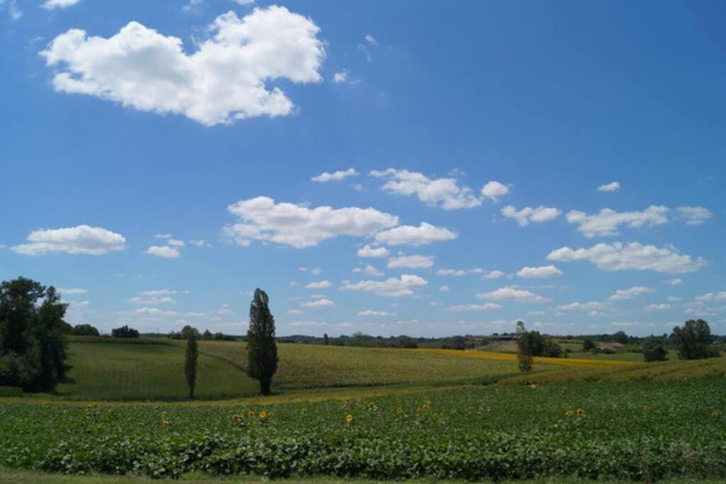 Gite Rural Saint-Pierre-sur-Dropt Exterior foto